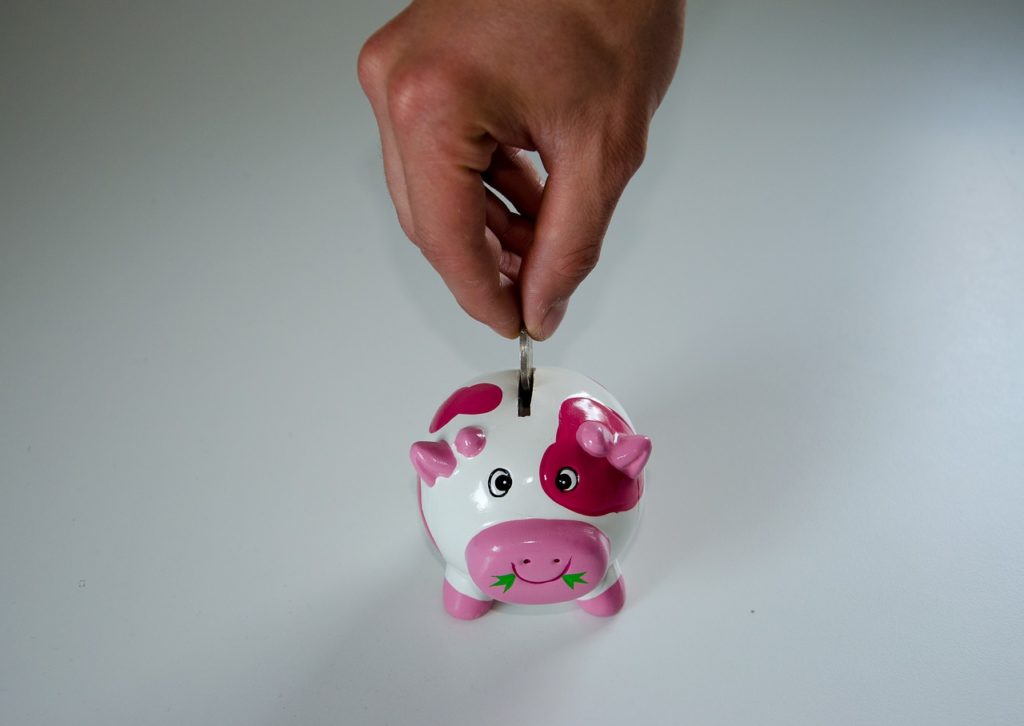 save money, piggy bank, money